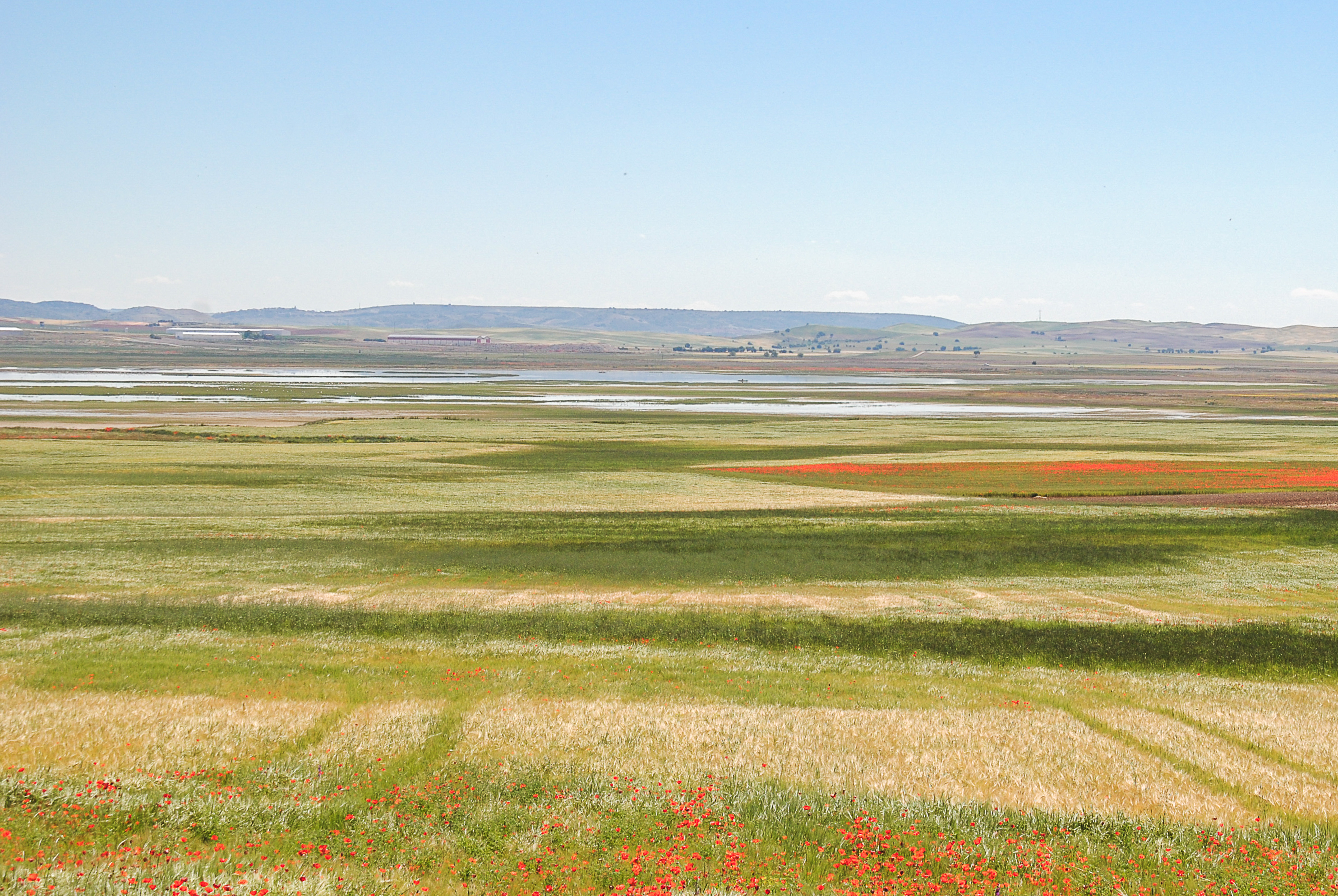 Panorámica de la laguna de El Hito 